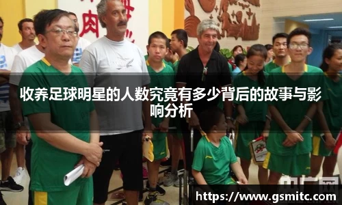 收养足球明星的人数究竟有多少背后的故事与影响分析